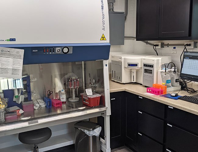 Cell-Cuture-Lab Cell-Cuture-Lab